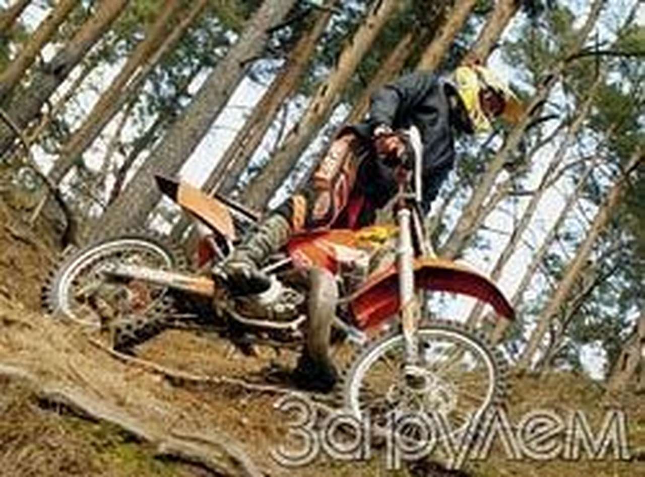 Секонд-тест рыжий, без "хвоста"