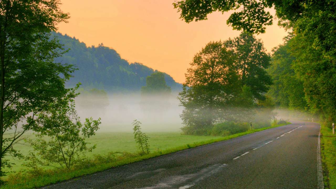 Опрос ЗР: мы едем, едем… едем?