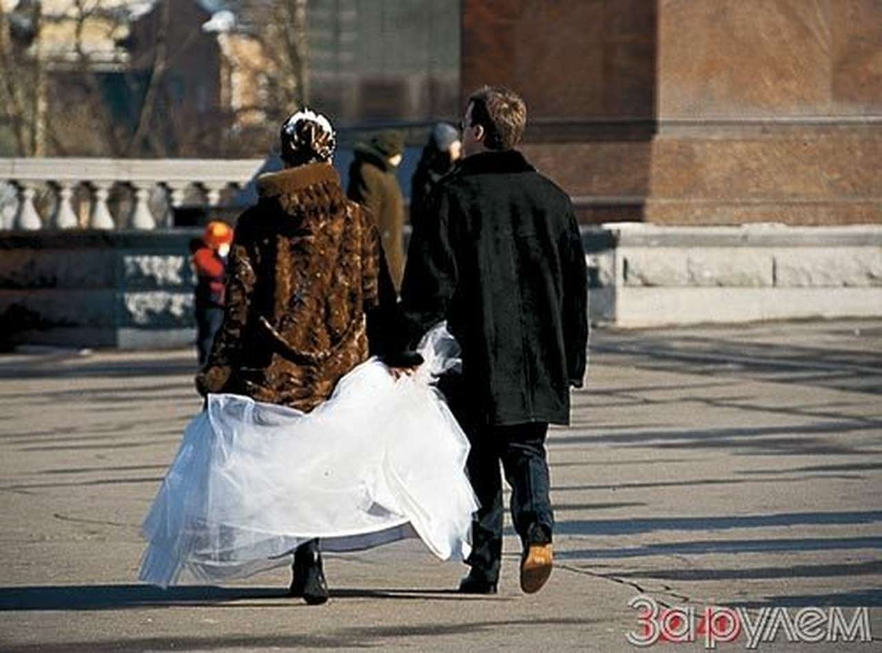 В попугаях они гораздо длиннее