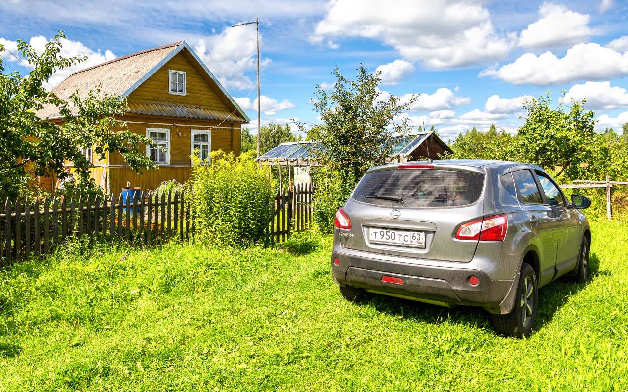 10 лучших бюджетников для дачи