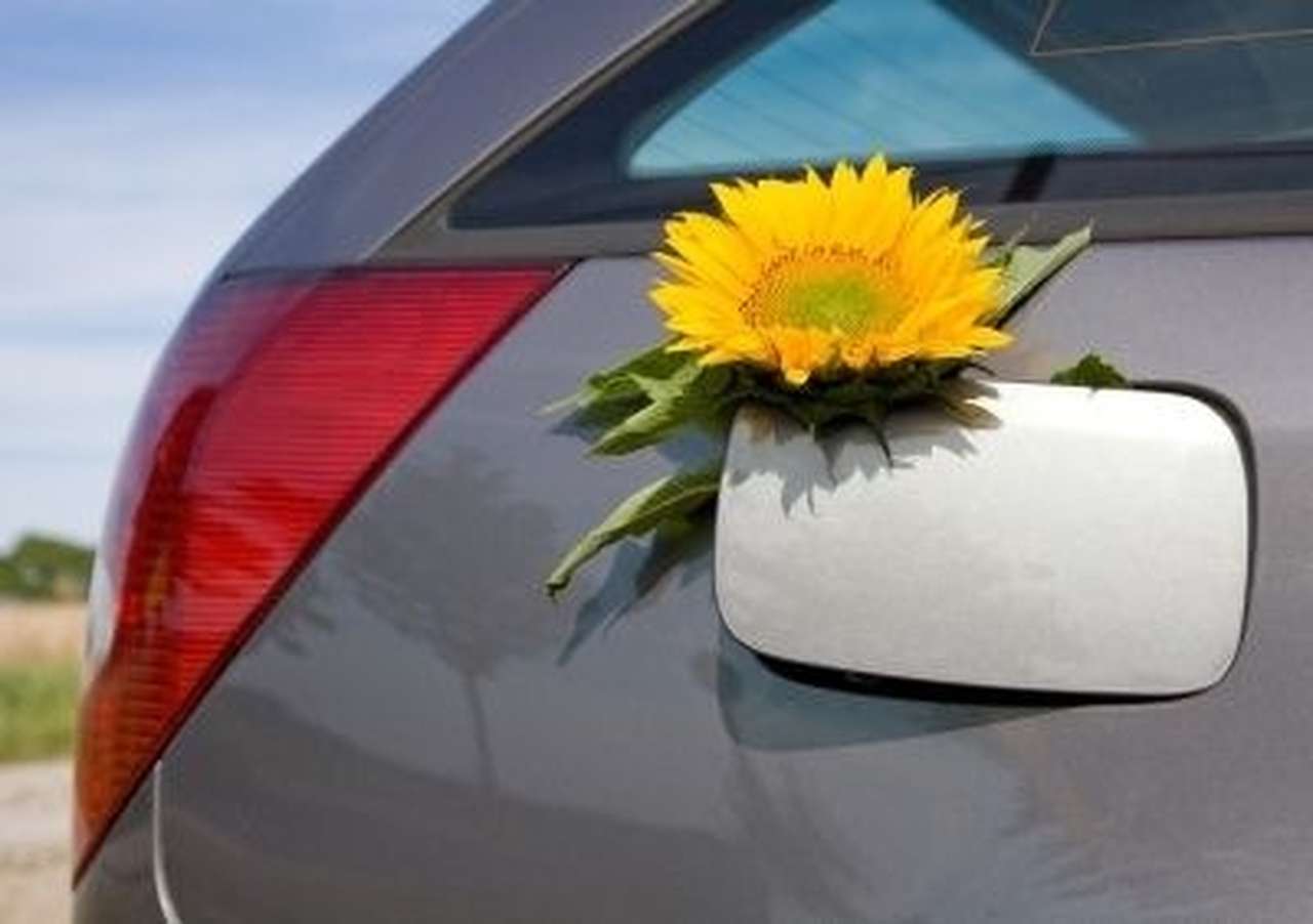 Американские нефтяники сопротивляются внедрению биотоплива