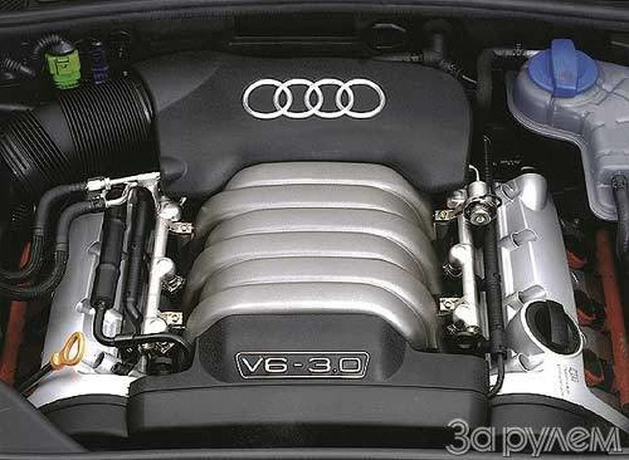 Audi A6. ВЕСЕЛАЯ СЕМЕЙКА