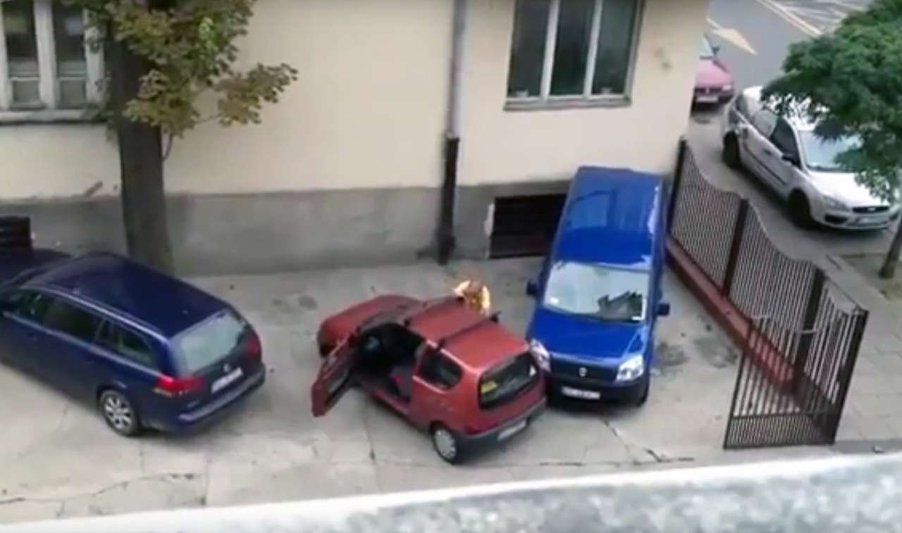 Блондинкам на зависть: пенсионер - «мастер» парковки