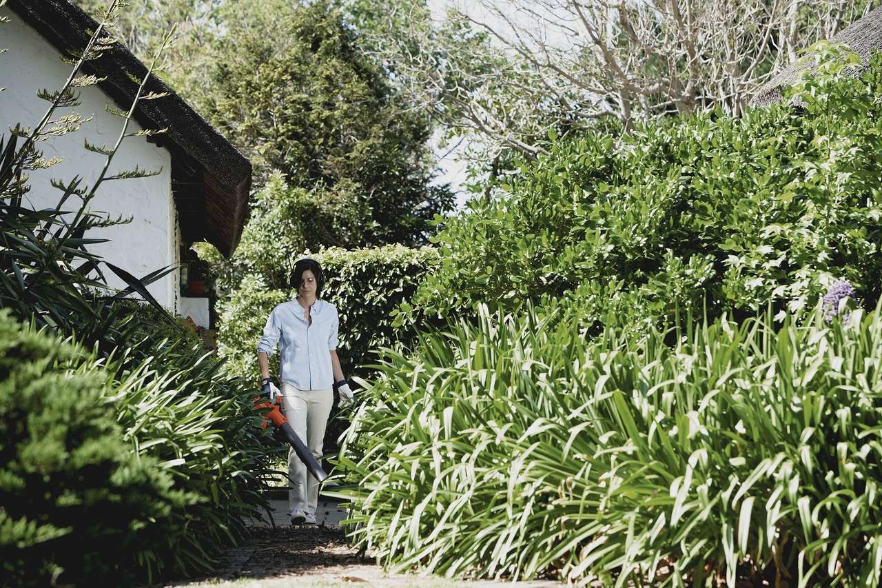 Топ-6 незаменимых продуктов