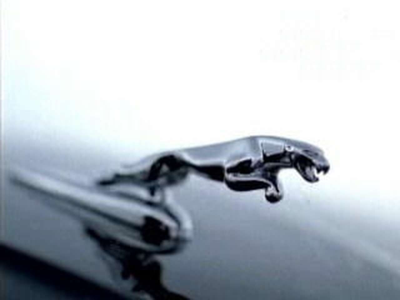 «Ягуар» - не машина, а просто песня! (ВИДЕО)