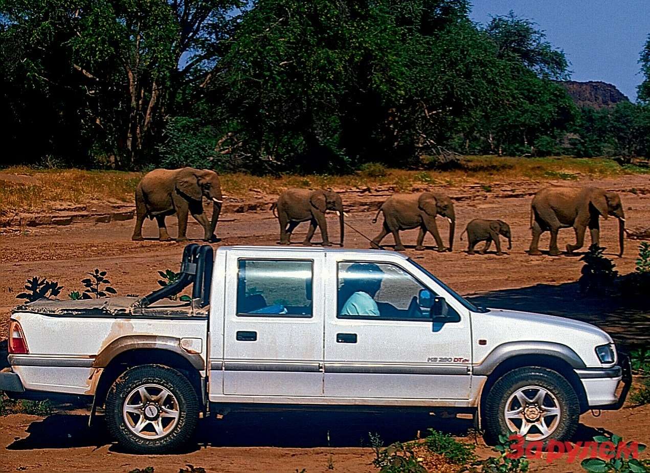 На пикапе VW Amarok по ЮАР и Намибии: в желтой жаркой Африке