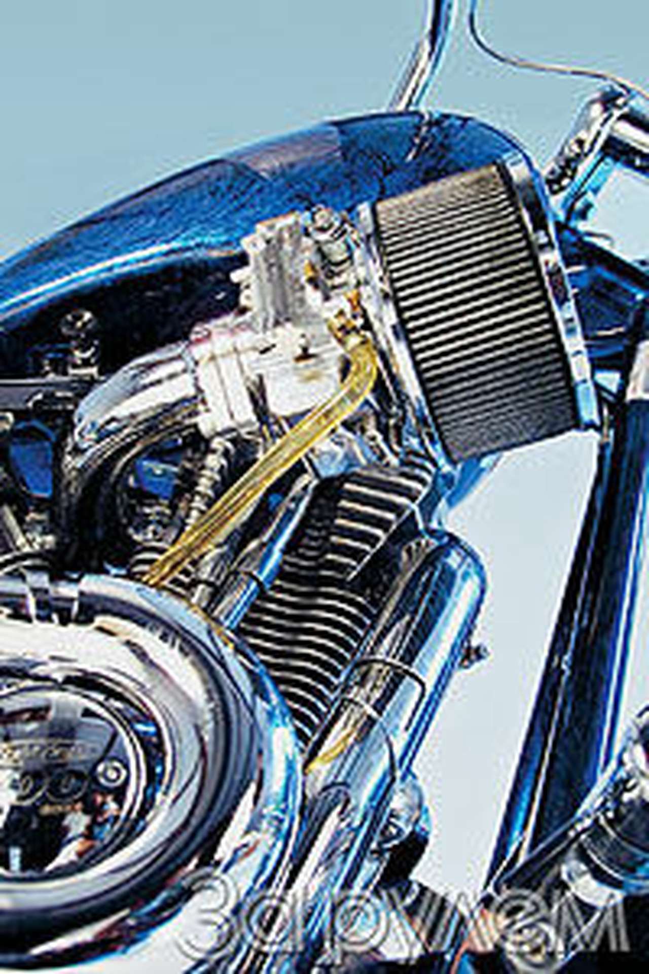 Вывих на всю голову