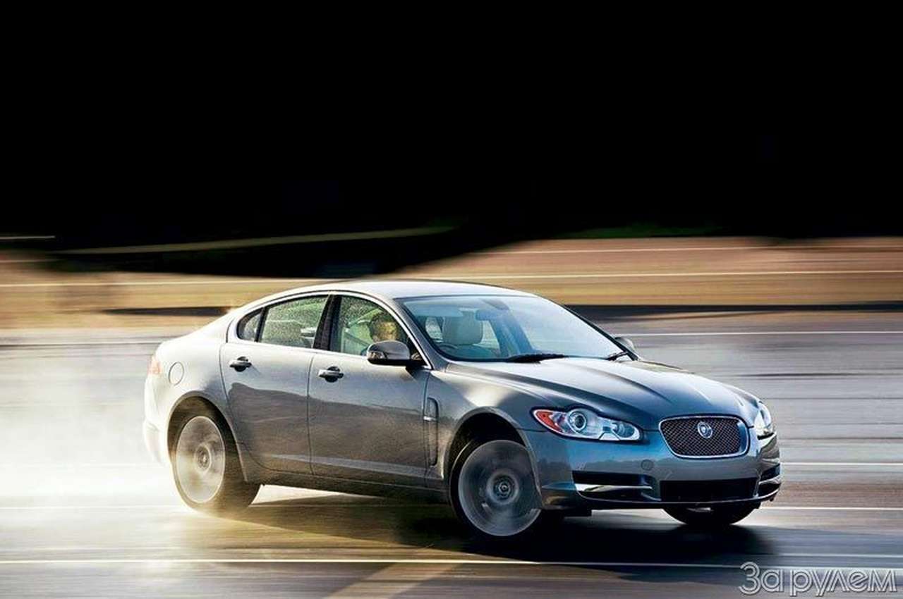 Мартовский кот