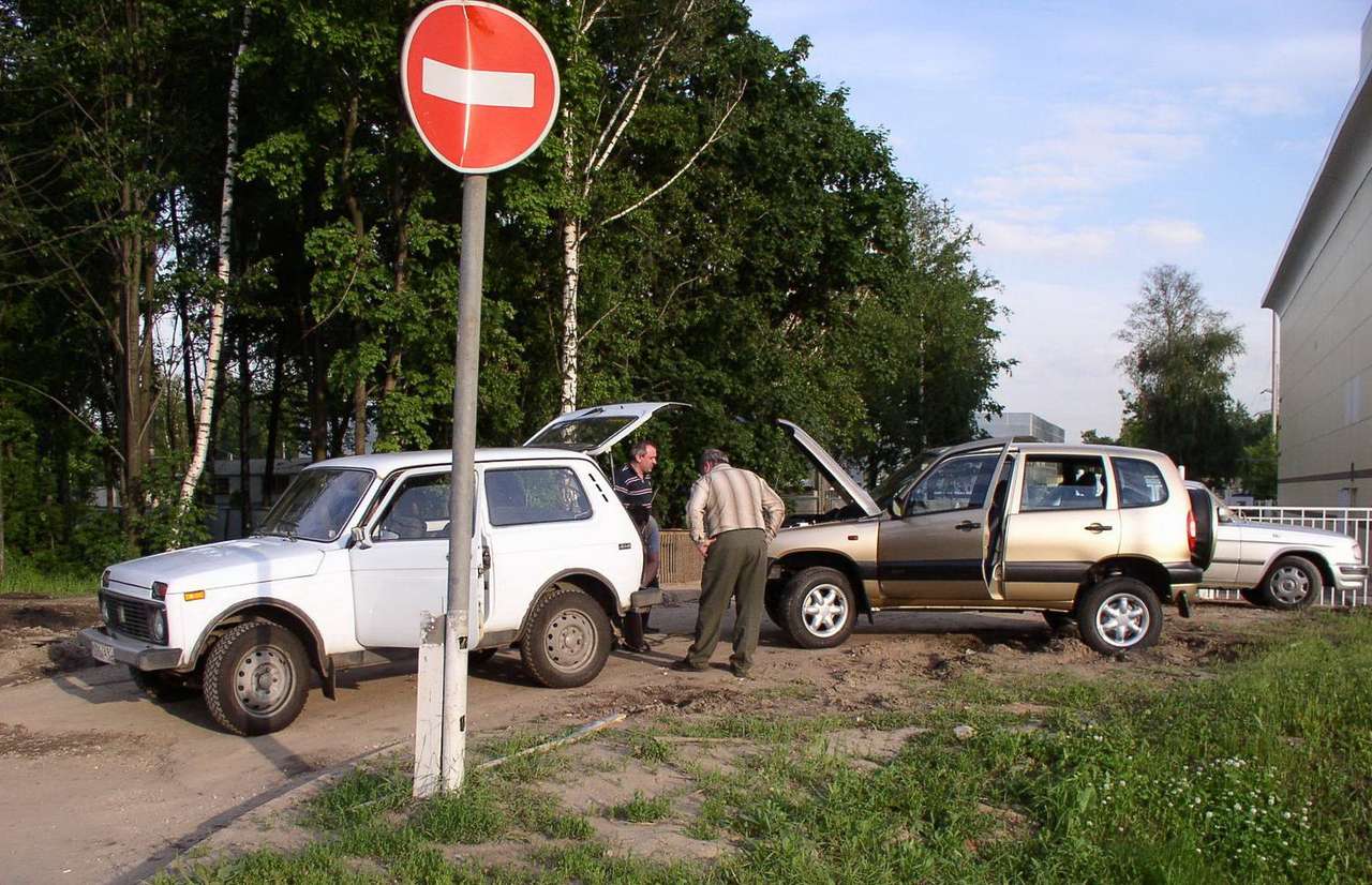 Какой мотор лучше?