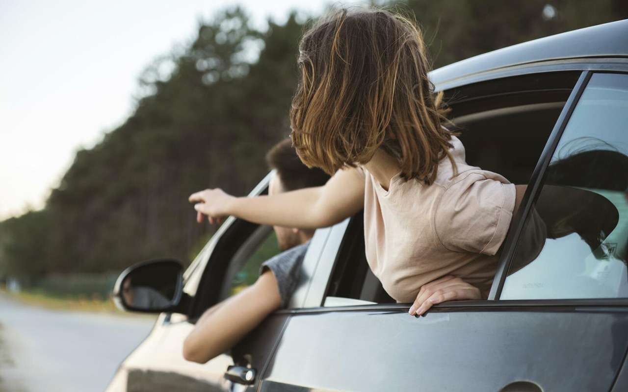 «Синяя карта» вместо «Зеленой»: она будет действовать в дружественных РФ странах