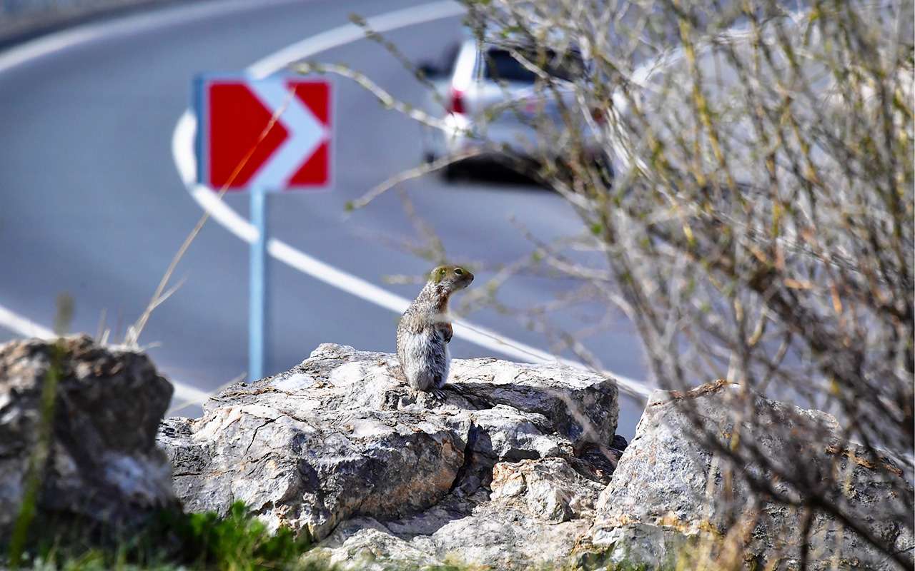 Видеокамер станет больше в два раза- уже через месяц