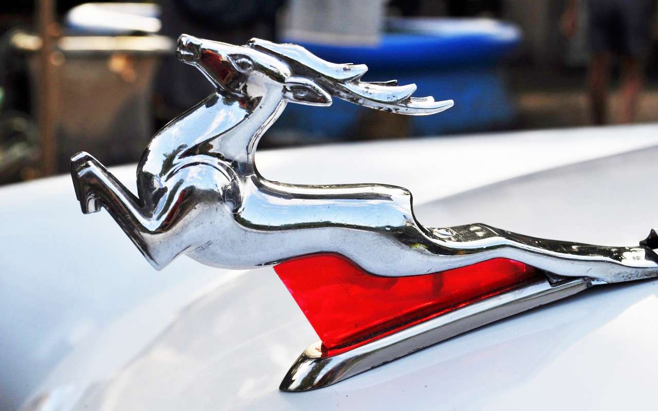 Выпуск Волги возродят – первые подробности