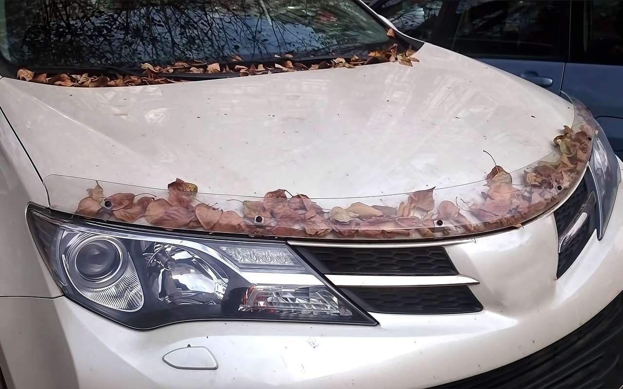 «Мухобойка» на капоте — теперь за это лишение прав? Да!