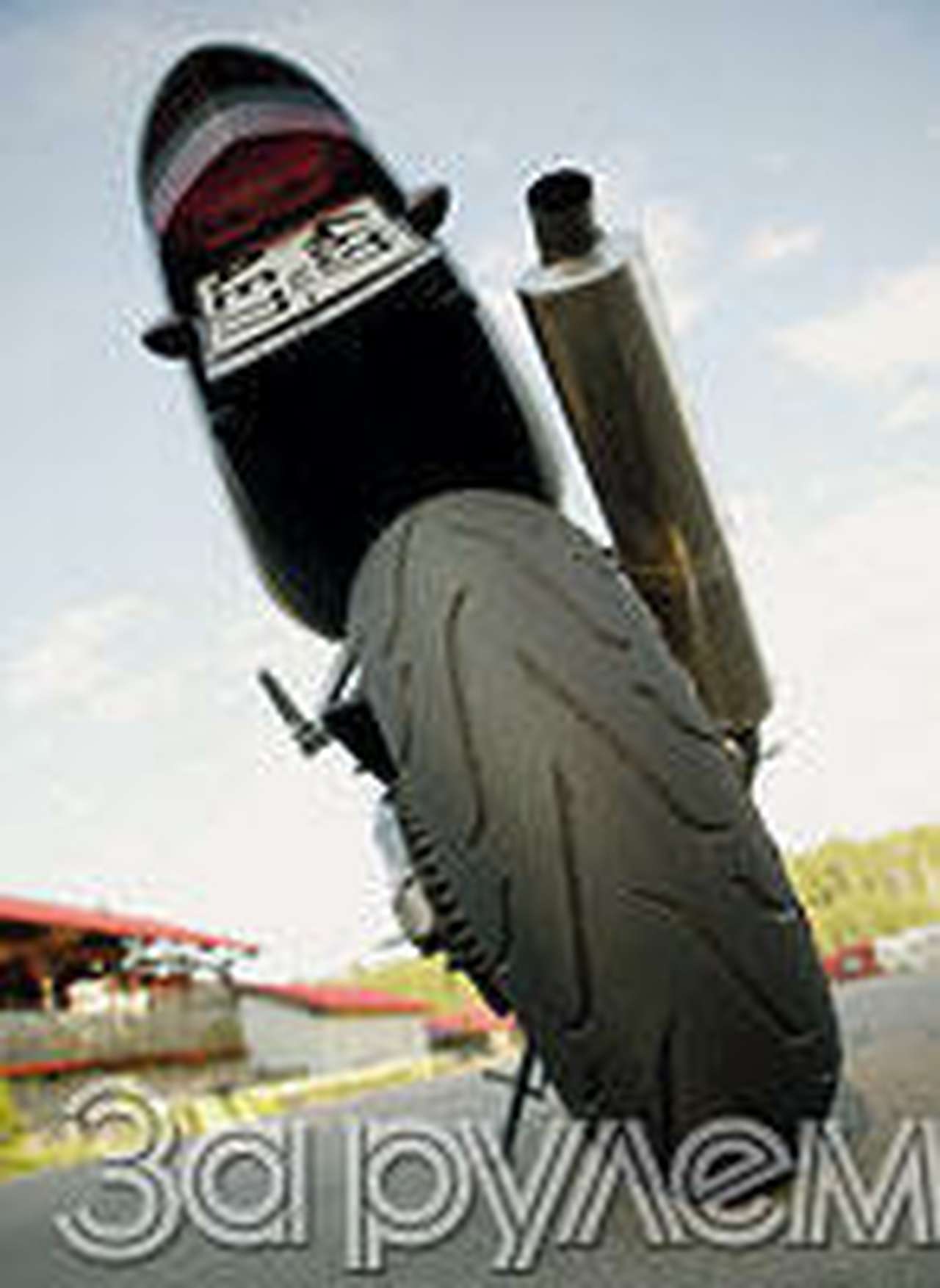 Со слоновьей живучестью