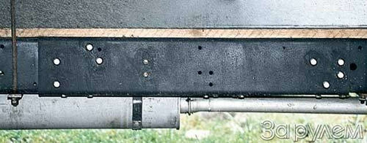 Помесь "газели" с таксой