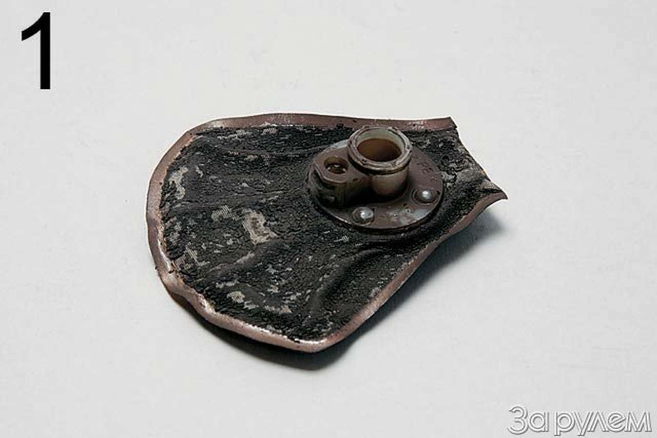 «поклевка»