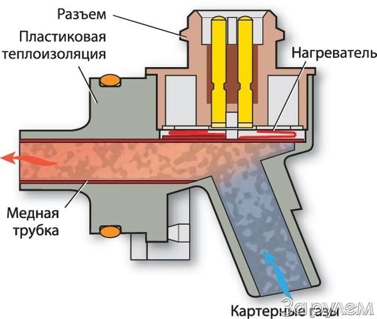 Шланг, отряхнись!