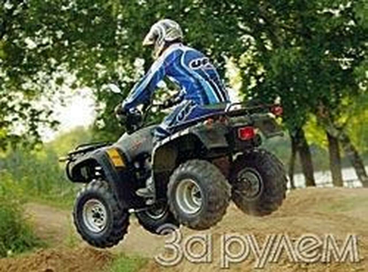 Прогулки с тигрой