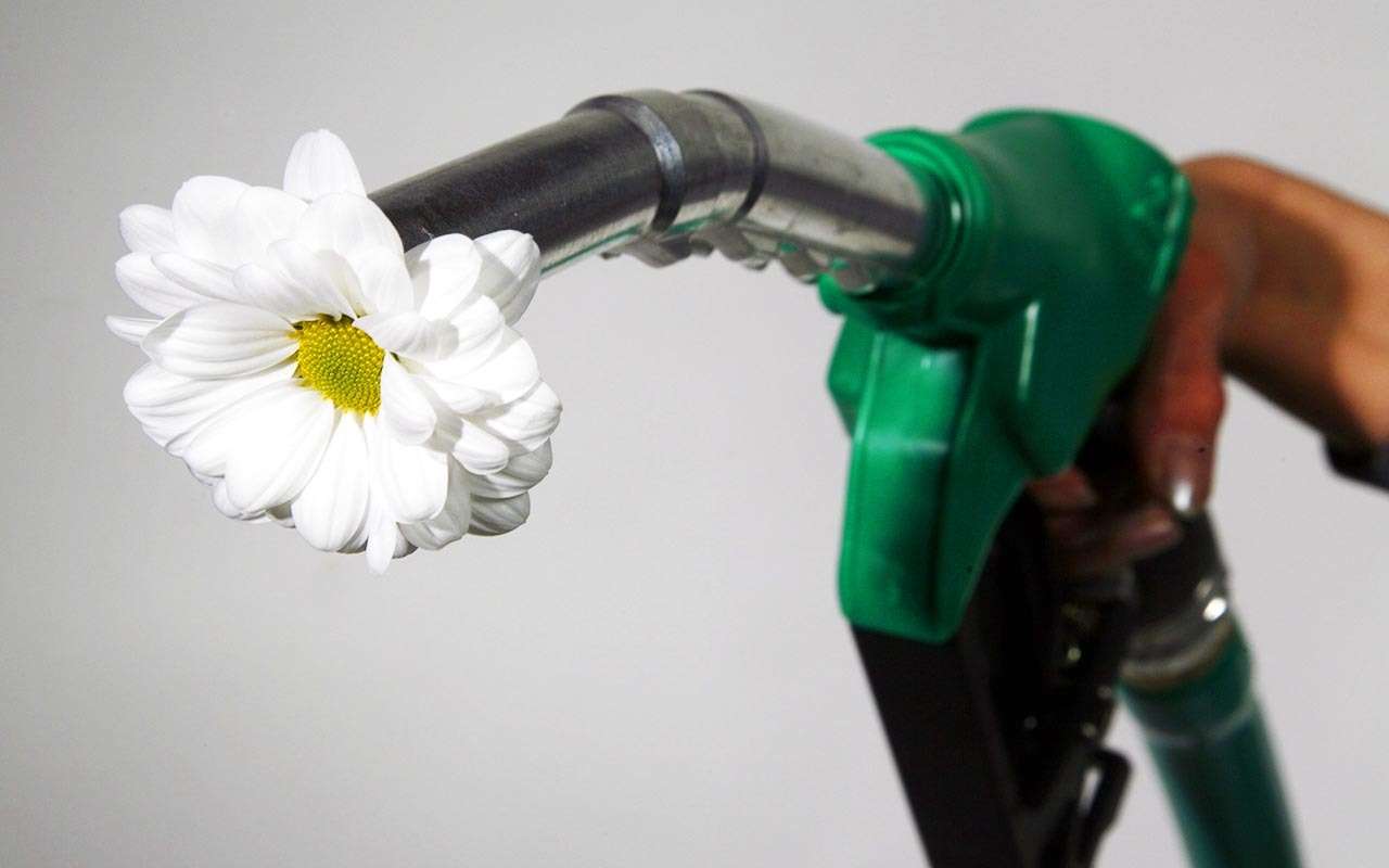 Дизели оправданы: они ничего не загрязняют