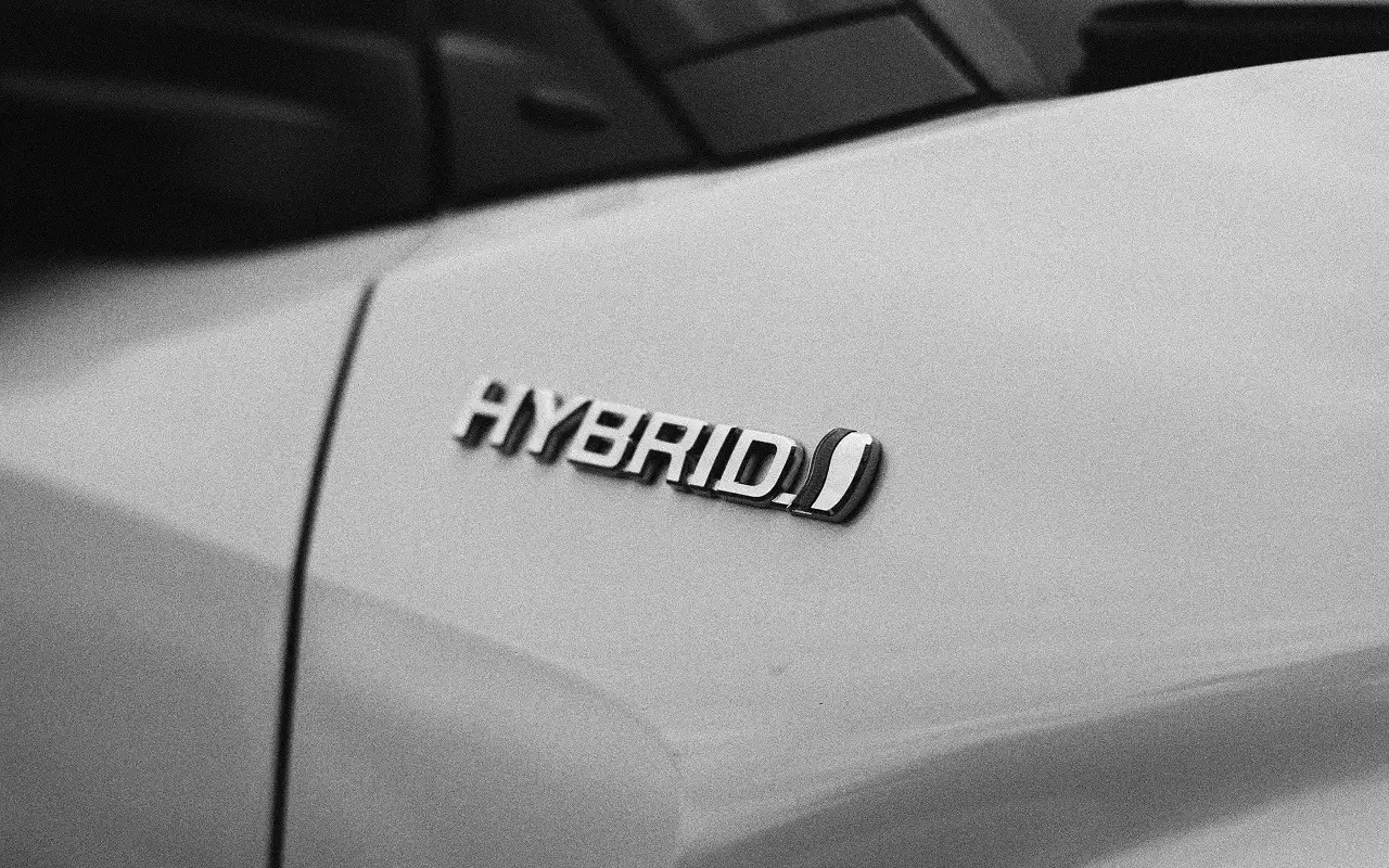 «Электричка» или гибрид – что выбирают россияне?