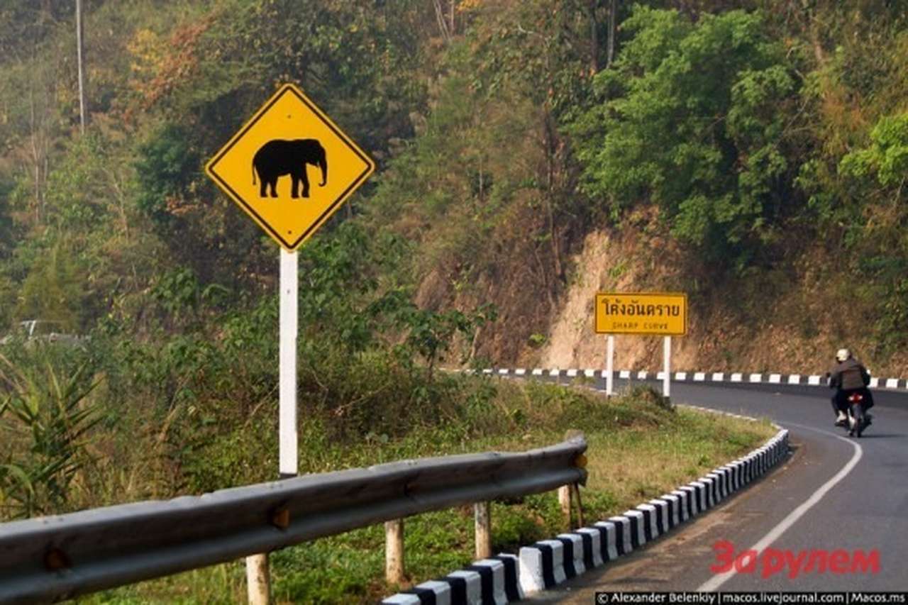 В Таиланде в ДТП попали 42 российских туриста