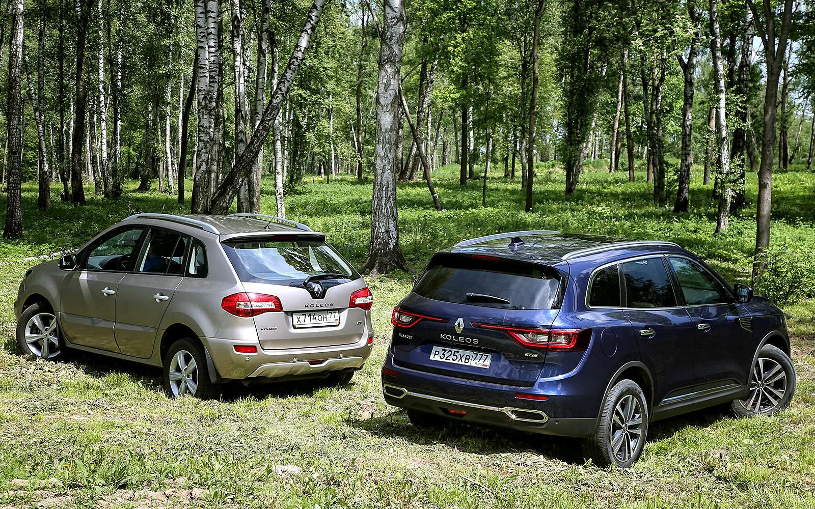 Что лучше рено колеос или сузуки гранд витара - 90 фото