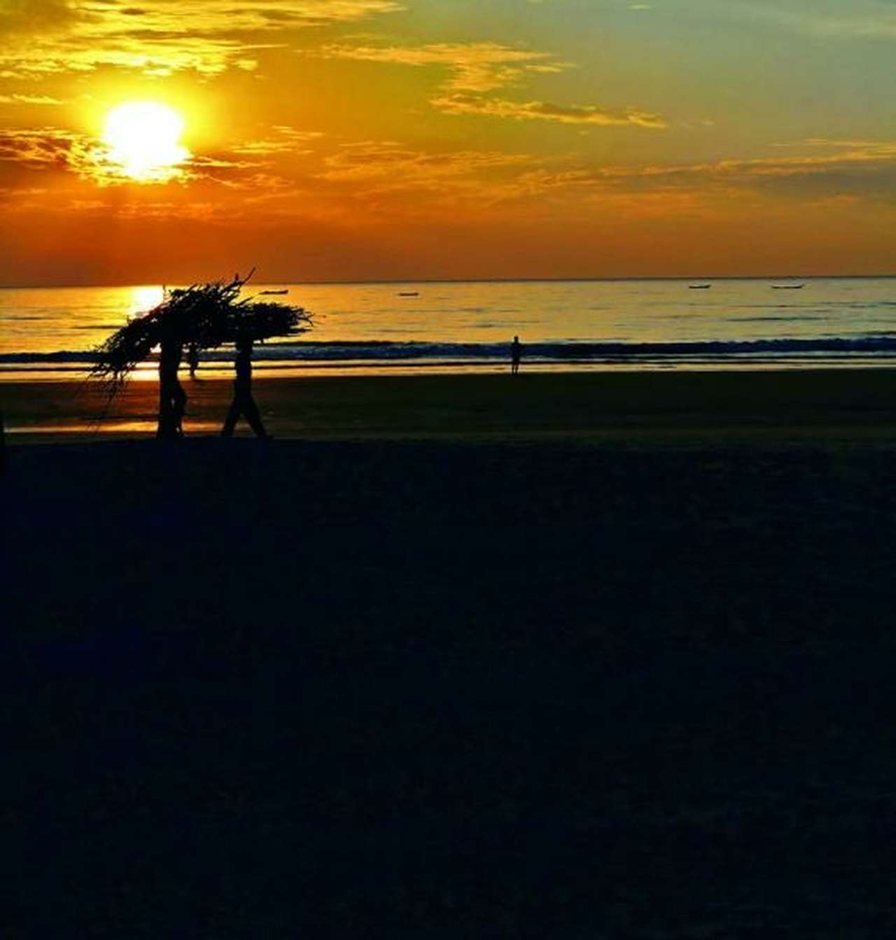 Путешествие: Питоны, слоны и храмы на колесах