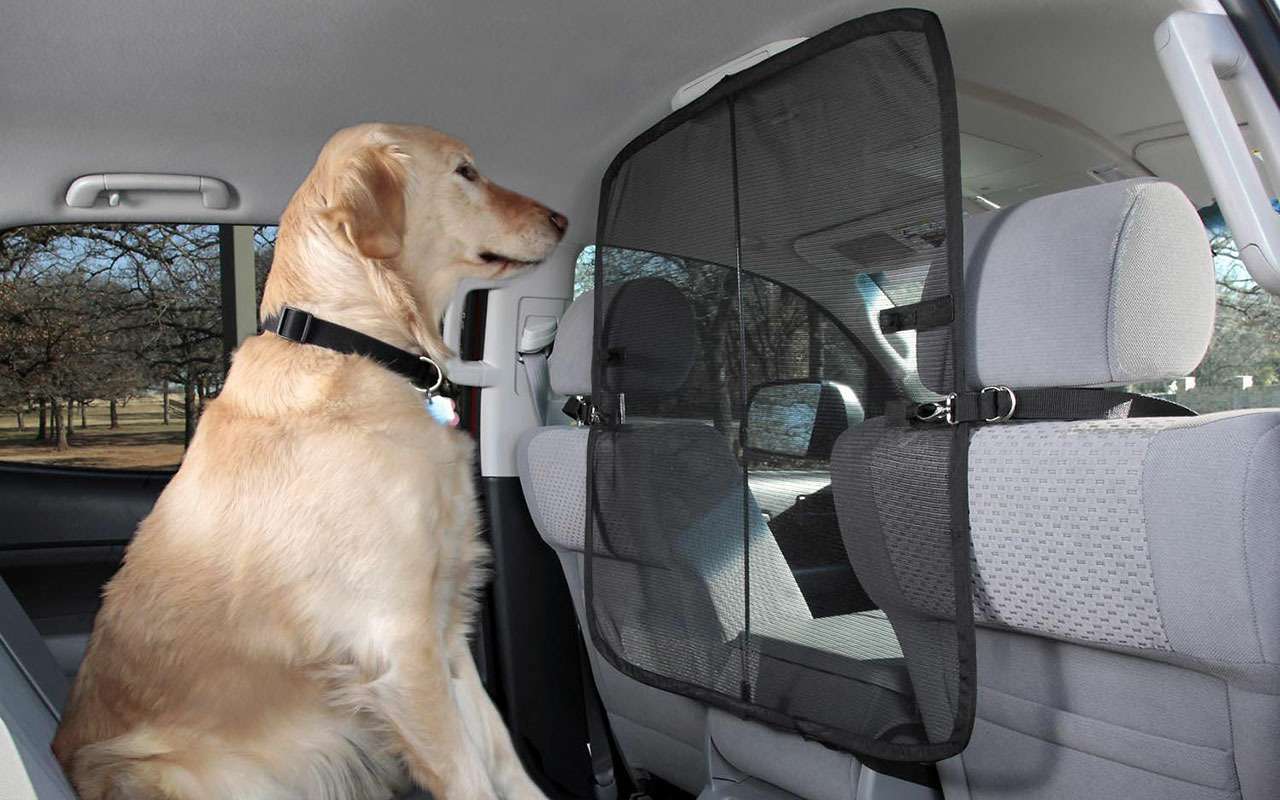 Матерчатая перегородка на ремнях – чистой воды декорация. Тем более для немаленького ретривера на фотографии!