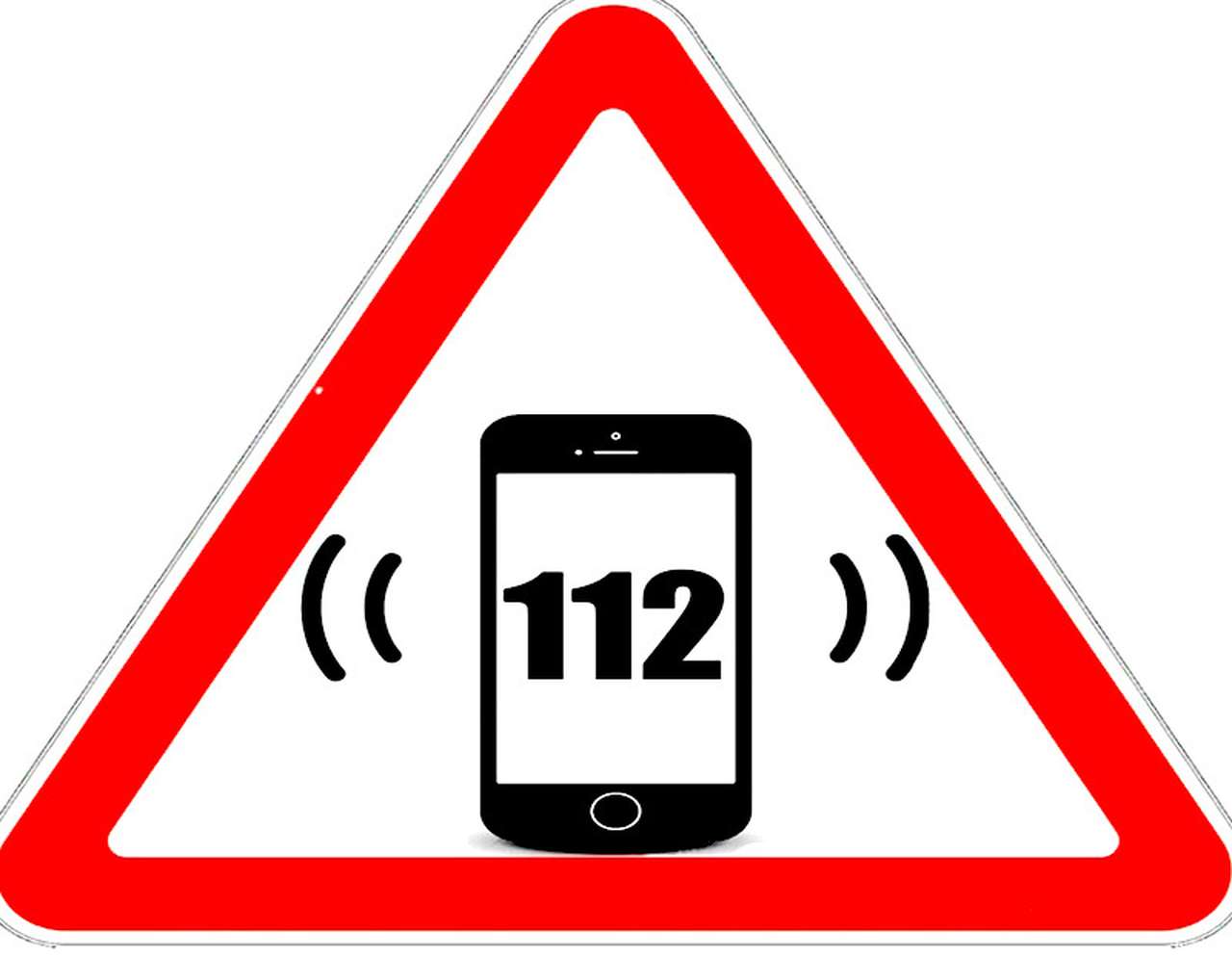 16-летний детдомовец придумал новый дорожный знак. ГИБДД одобряет