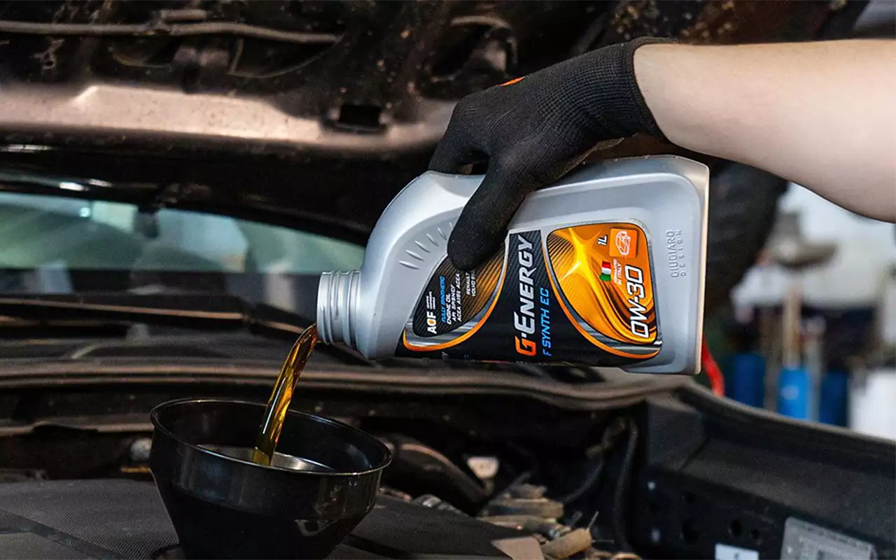 Фото: Анна Фомина