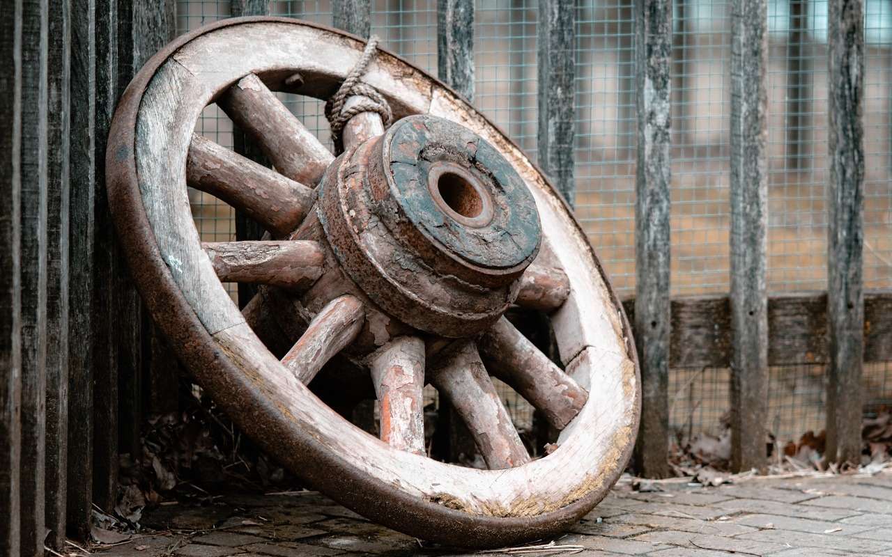 Известный производитель шин начнет делать резину из бересты