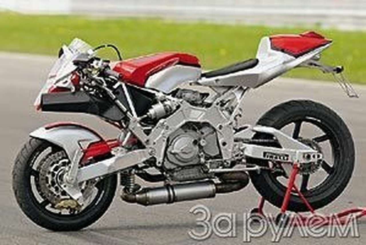 В прошлой жизни - вирус