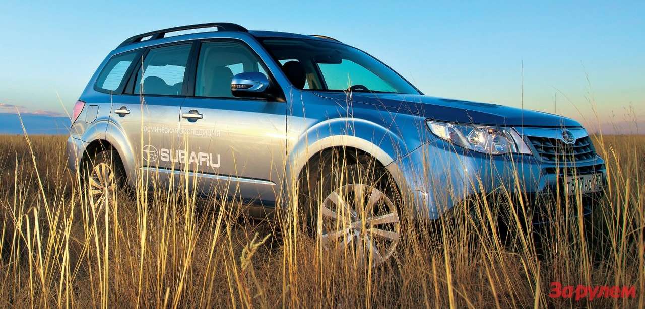 Встречаем космонавтов: трава у дома