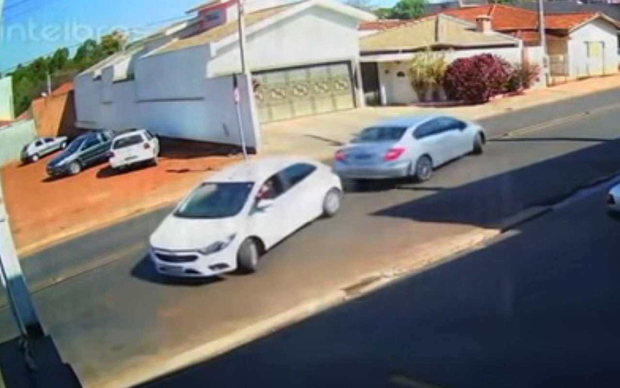 Мастера синхронного столкновения задами – видео