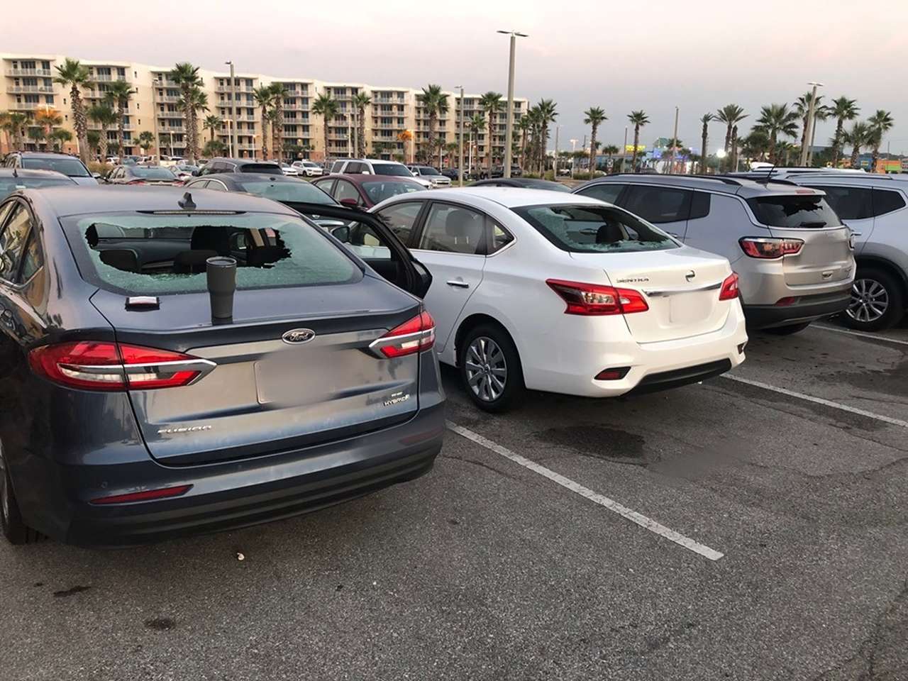 «За долги Трампа»: безработный разгромил 20 автомобилей