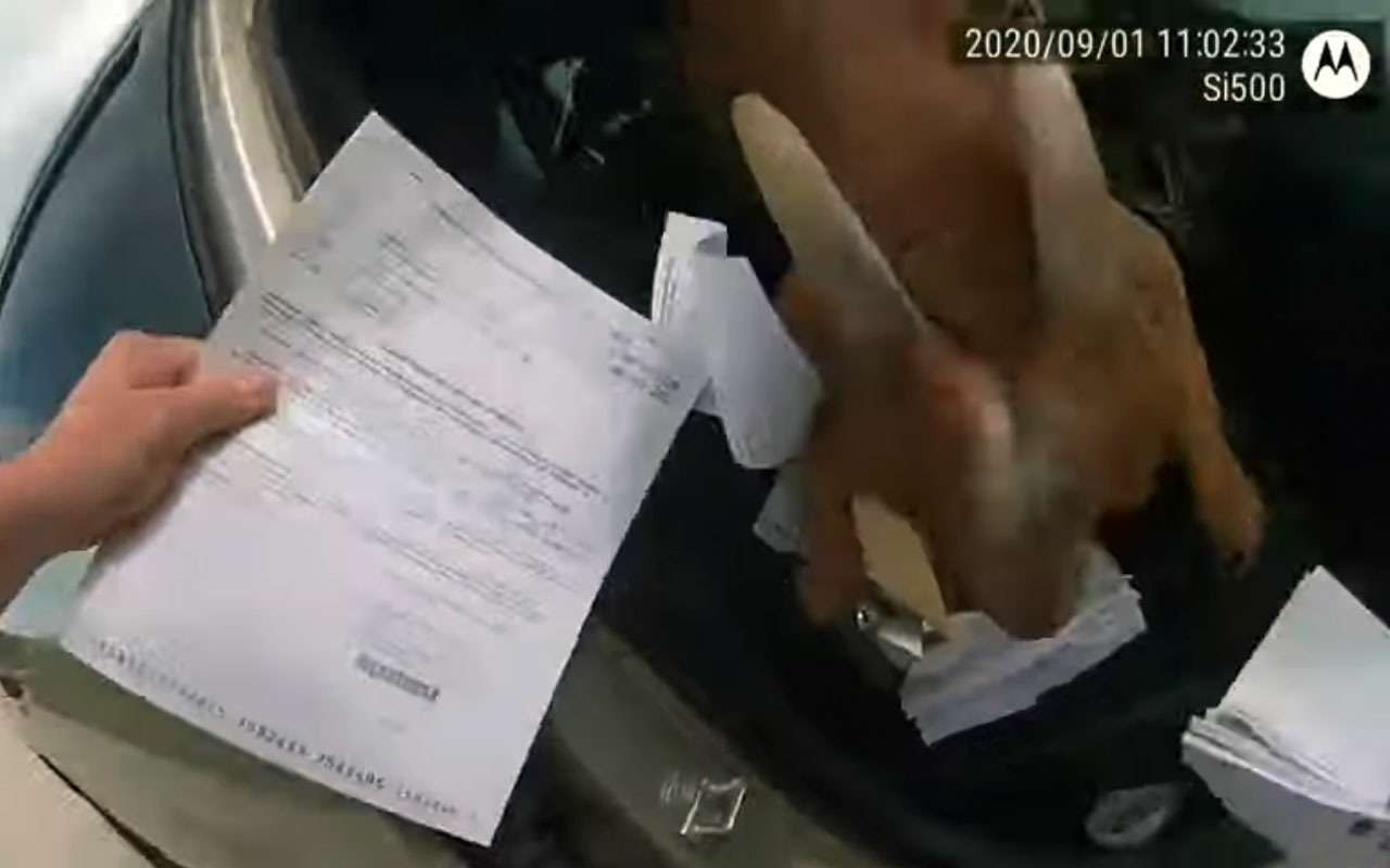 Режим козла активирован: у полицейских съели документы