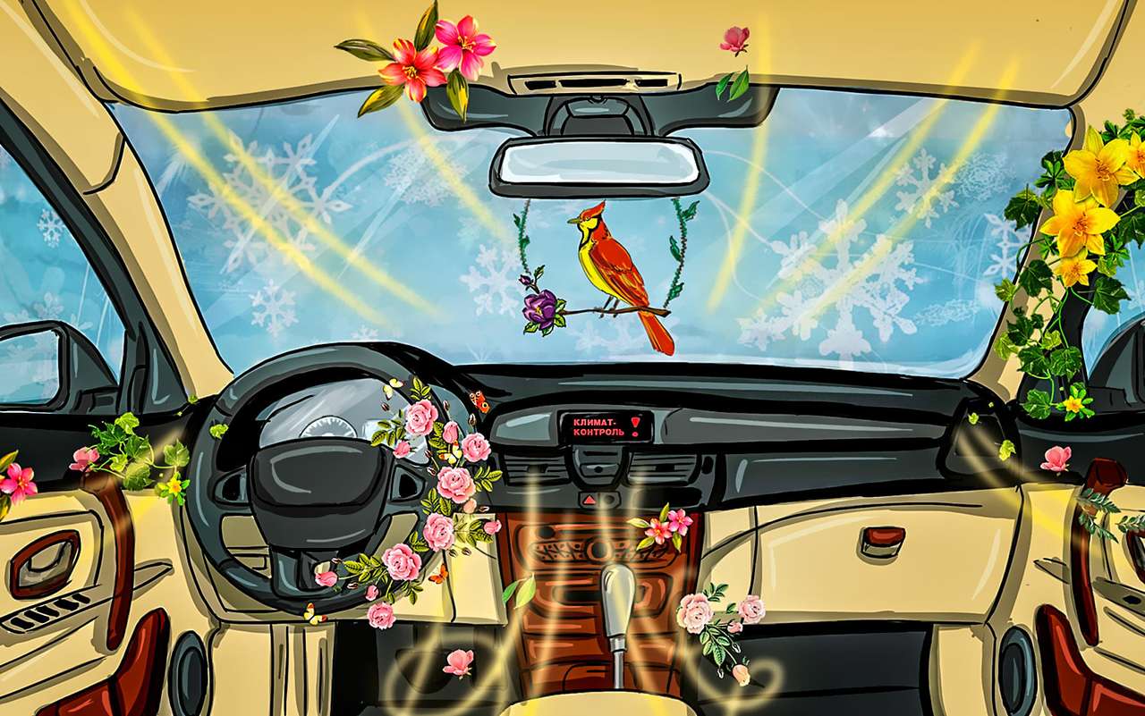 Чистим салон: народные средства против автохимии