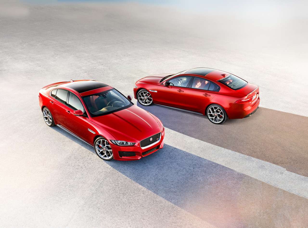 Самый доступный Jaguar: котенок с характером