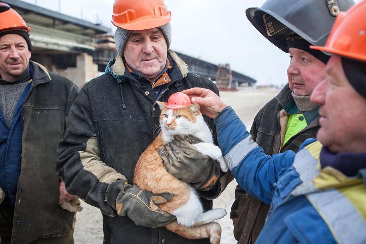 «Главный символ» Крымского моста сел на диету