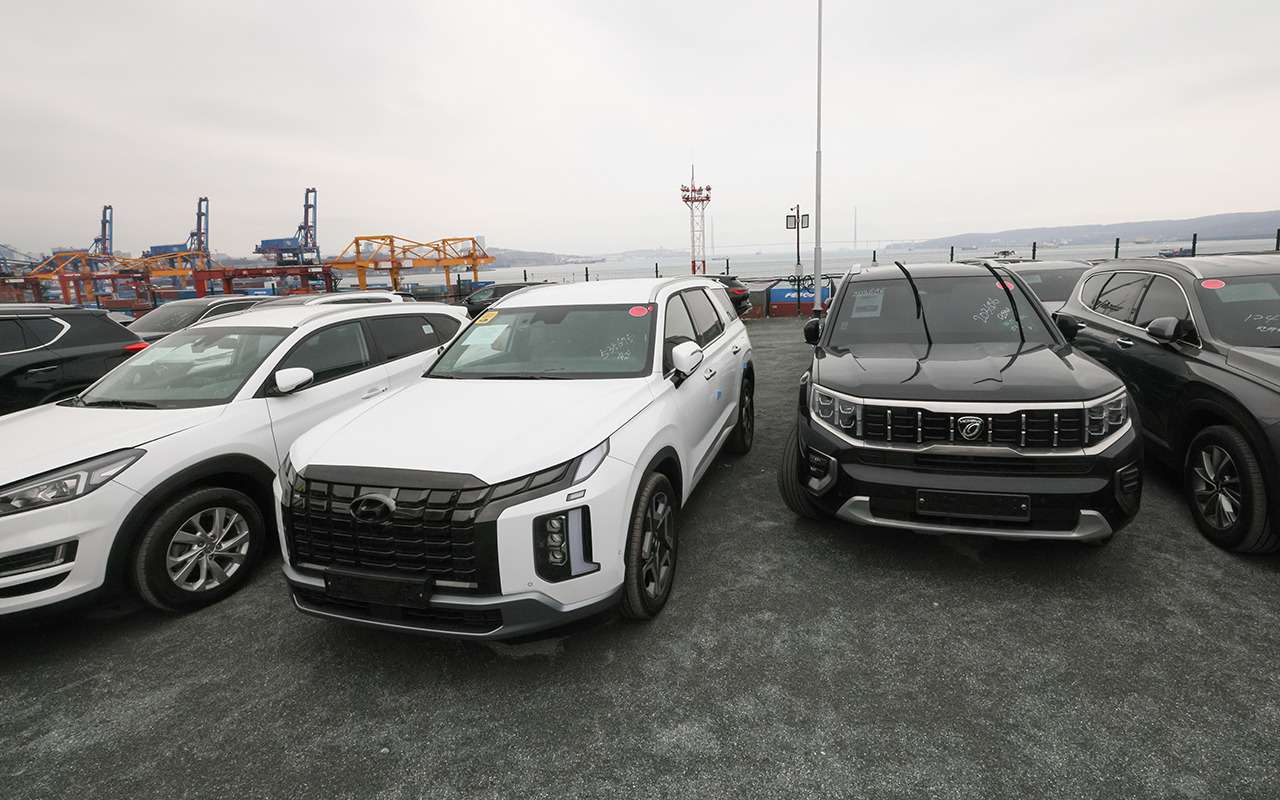 Посчитали, сколько машин ввезли в Россию по параимпорту