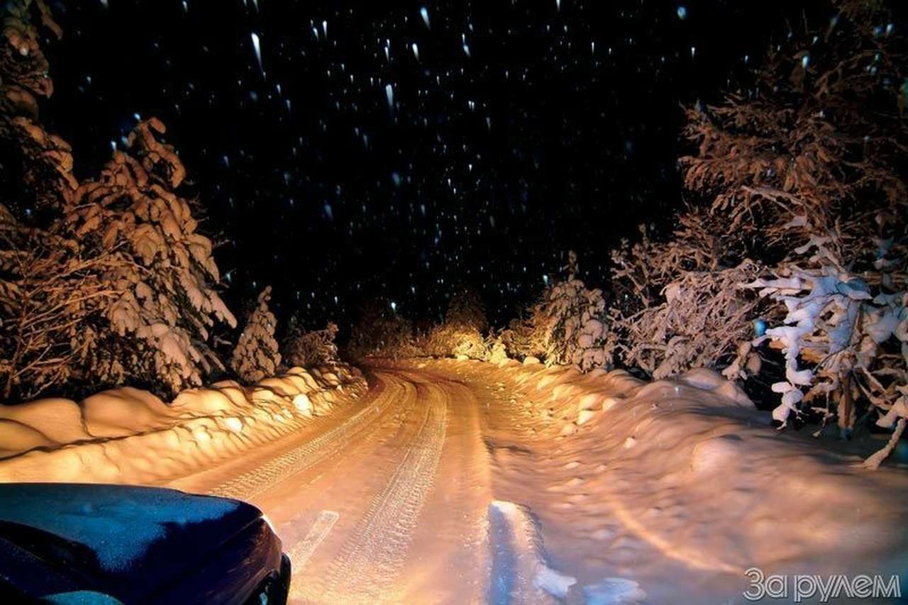 Дорогой белою