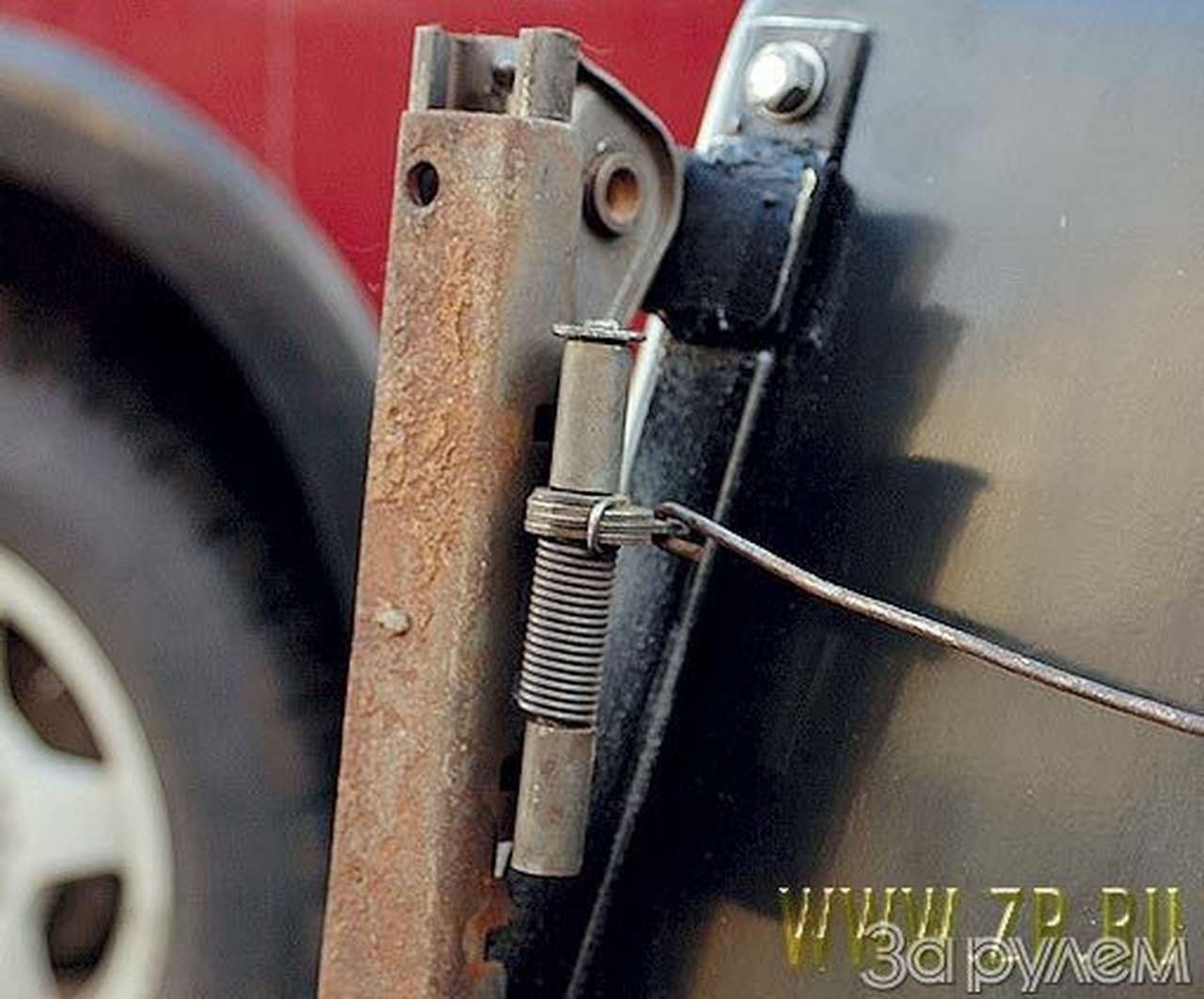 Священная корова