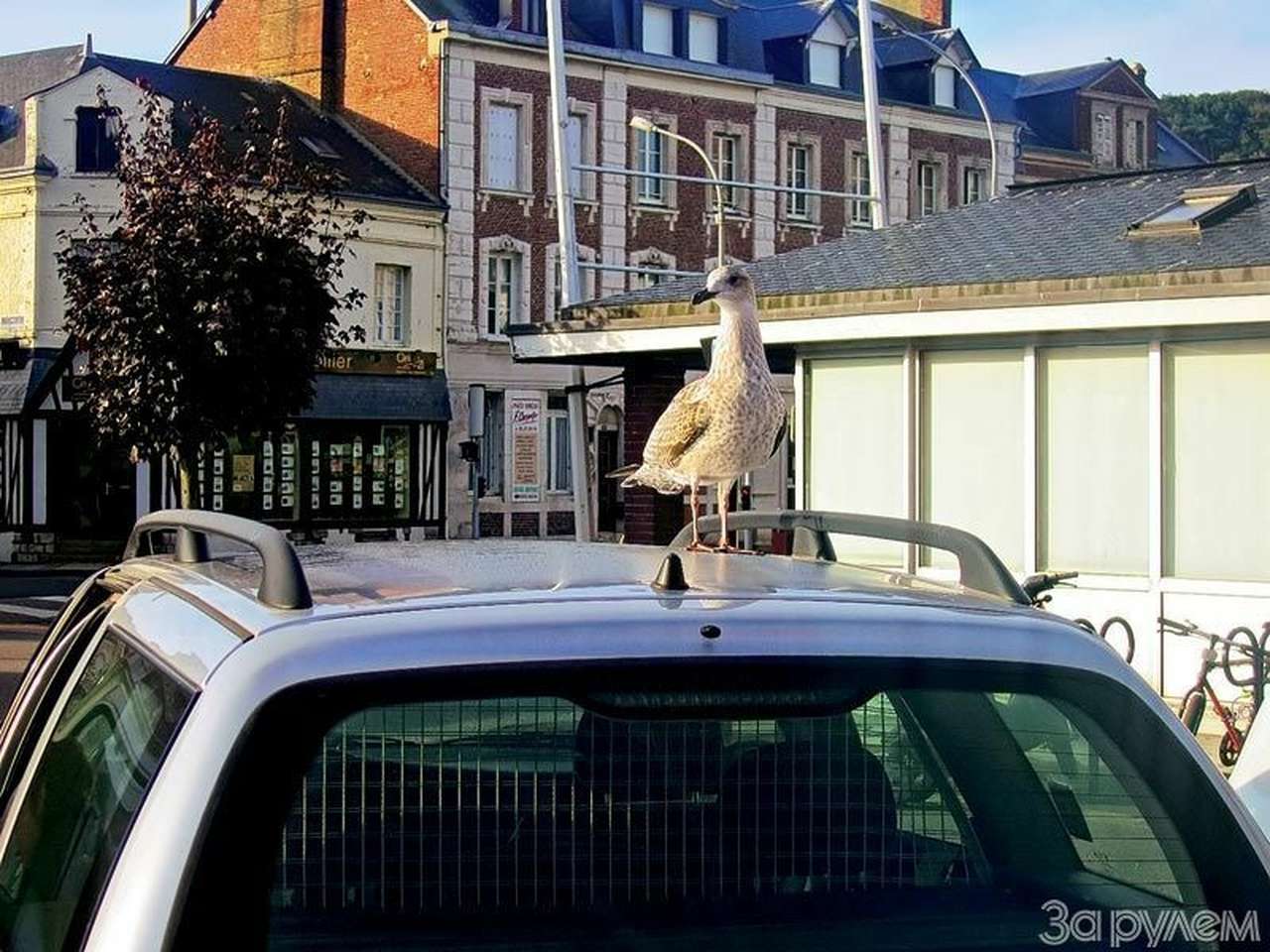 Гадкий эксперимент