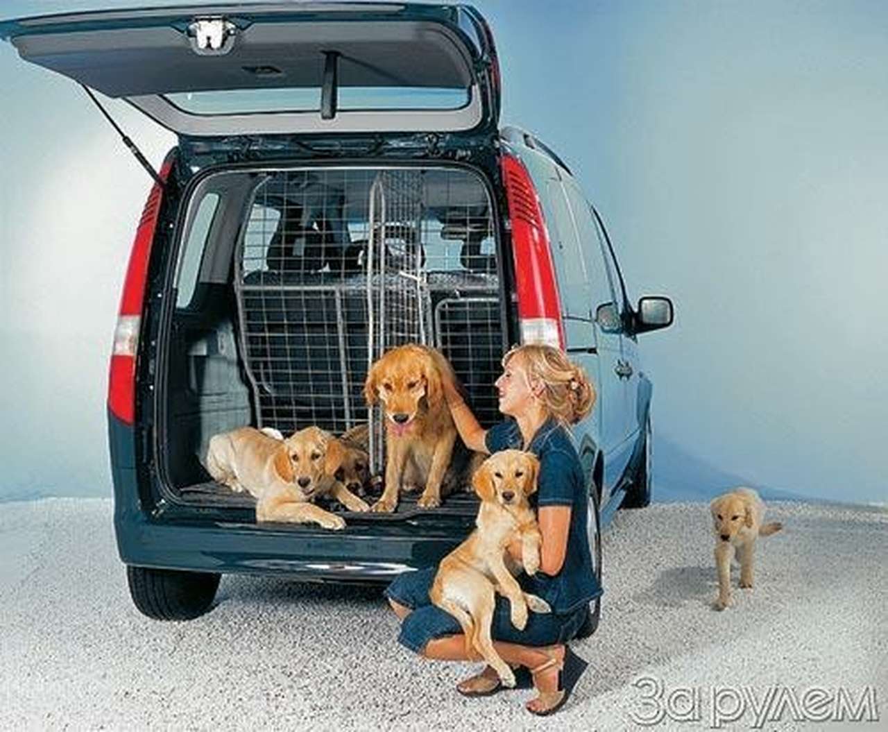 Mercedes-Benz Vaneo. ВАГОНЧИК ТРОНУЛСЯ