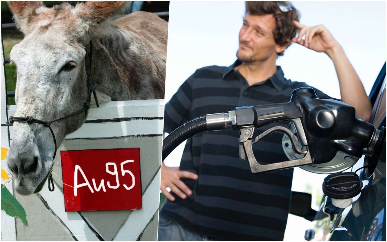 Назван способ избежать заправки некачественным топливом