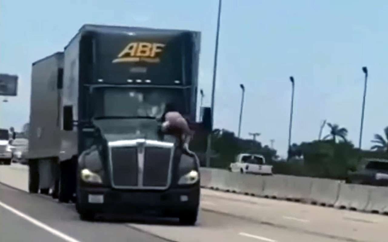 14 км на капоте фуры — псих пытался добраться до водителя (видео)