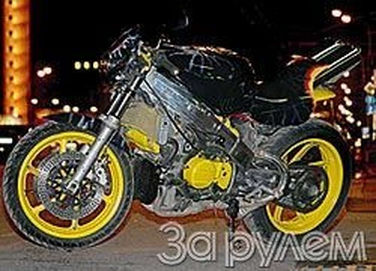 Всех порву!