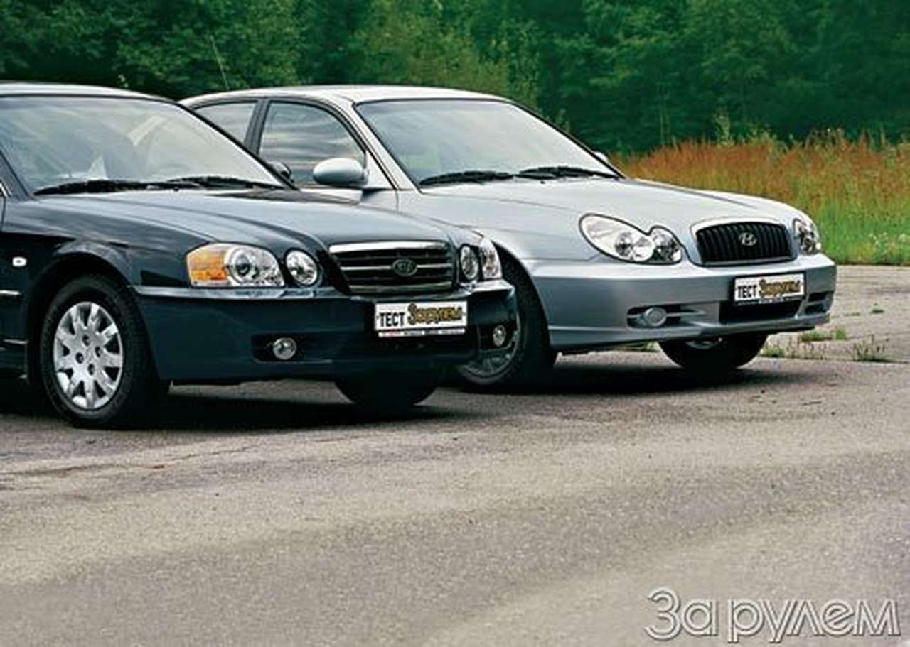 Фамильное сходство