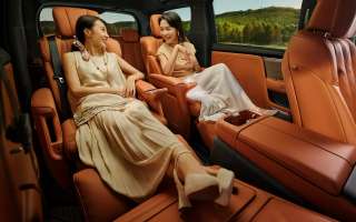 Buick Electra Encasa