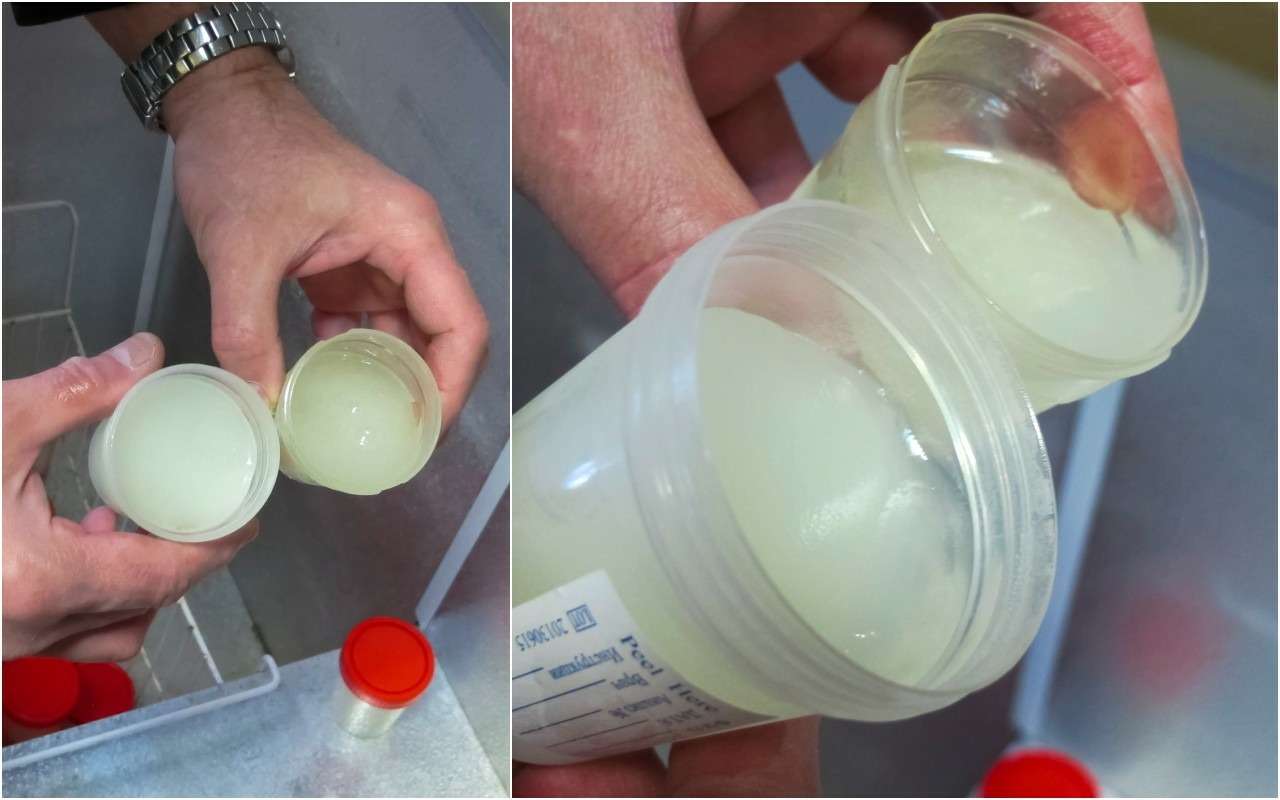как сделать жидкую сперму густой фото 35